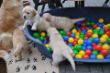 DSC_0150.jpg